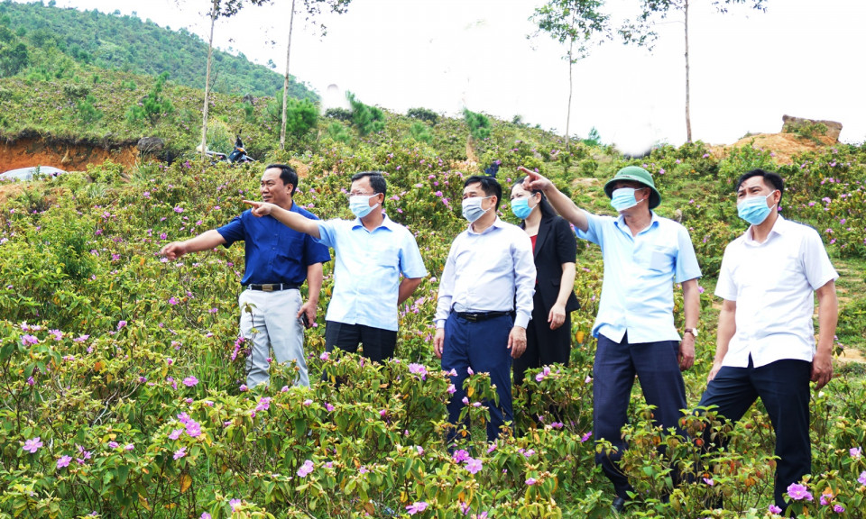 Phó Chủ tịch Thường trực UBND tỉnh Cao Tường Huy kiểm tra tại Bình Liêu, Tiên Yên, Ba Chẽ