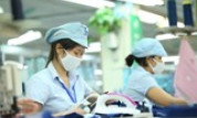 Lao động bị ngừng việc do cách ly cần giấy tờ gì để nhận hỗ trợ?