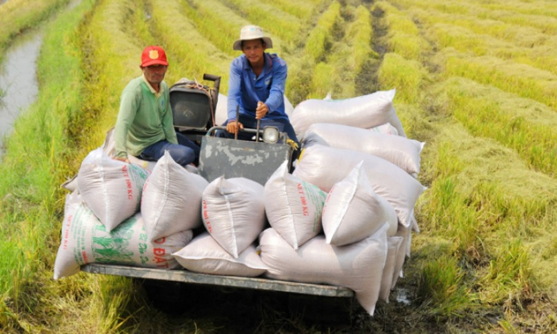 Nông nghiệp cần những giải pháp cấp bách trong đại dịch