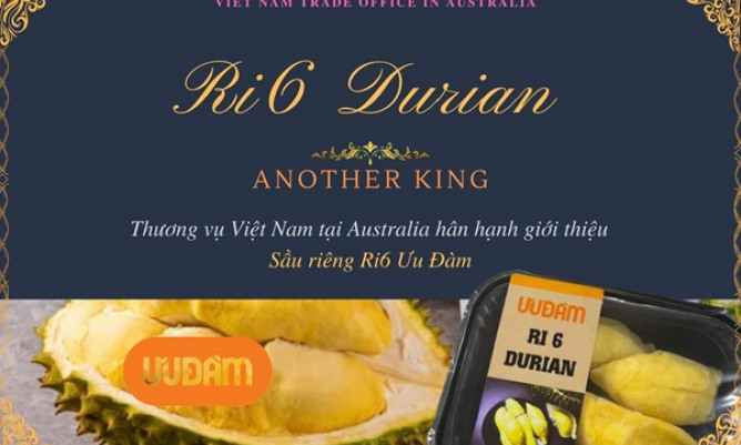 Sầu riêng Ri6 Việt Nam "cháy hàng" tại Australia