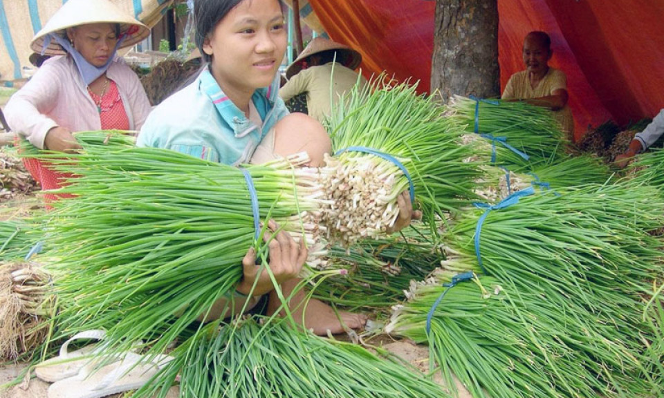 Tập trung gỡ khó, bảo đảm sản xuất nông nghiệp ở các tỉnh Nam Bộ