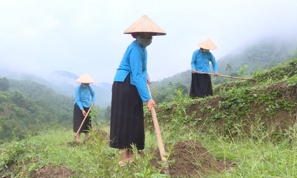 Bình Liêu: Hỗ trợ người dân phát triển các mô hình kinh tế 