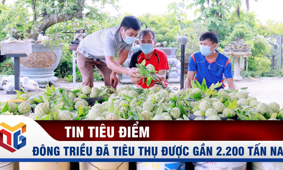 Đông Triều đã tiêu thụ được gần 2.200 tấn na