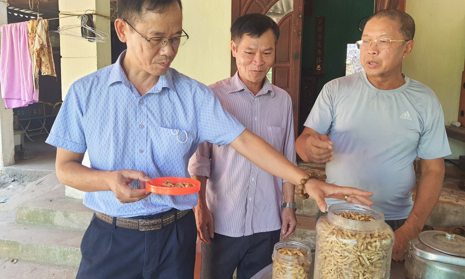Làm giàu từ nuôi ong lấy mật