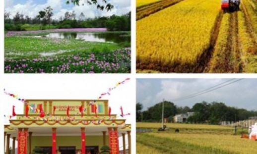 Bố trí hơn 196.000 tỷ đồng thực hiện Chương trình MTQG xây dựng nông thôn mới