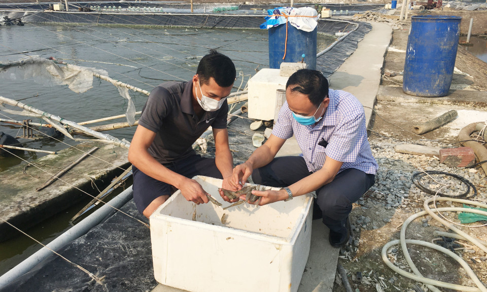 Khơi thông tín dụng chính sách