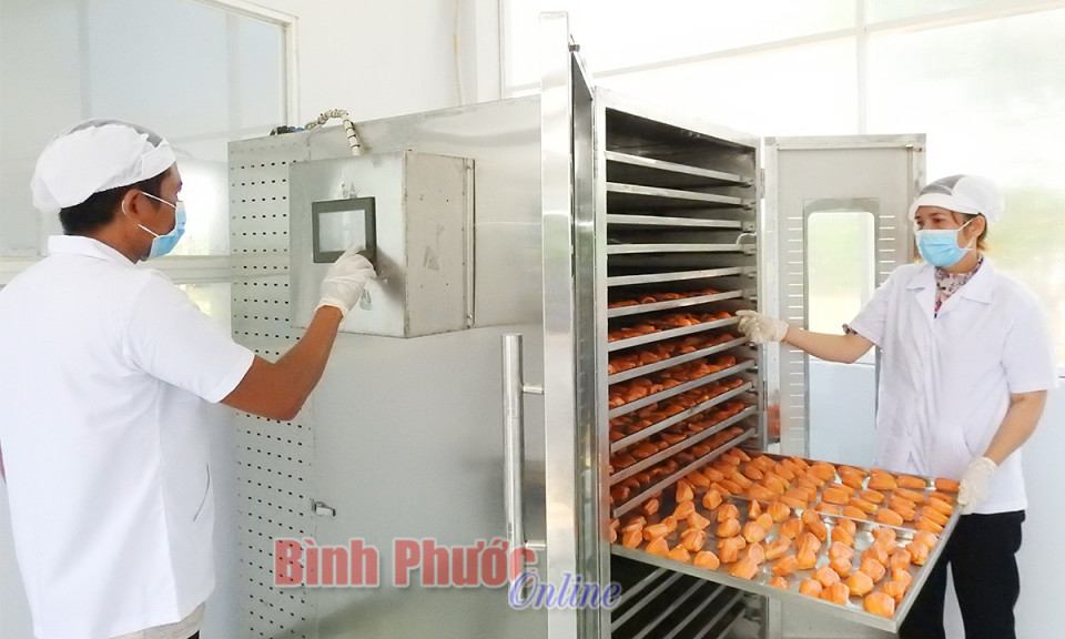 Bài 1: Nông dân chủ động chuyển mình 