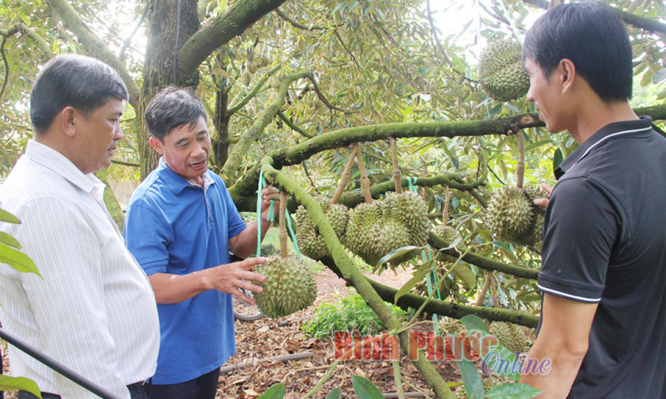 Bài cuối: Bứt tốc để không bỏ lỡ "chuyến tàu" 4.0