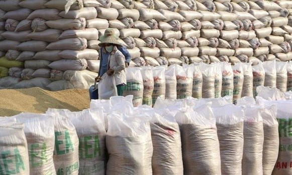 Opportunities for Vietnamese agricultural products to enter new markets