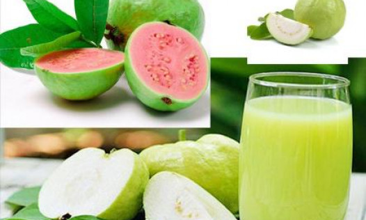 Những công dụng bất ngờ từ trái ổi