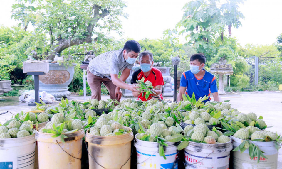 Kết nối cung ứng nông sản an toàn