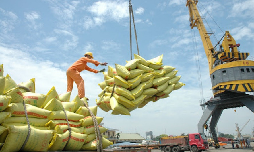 Nhanh chóng tháo gỡ khó khăn cho doanh nghiệp xuất khẩu gạo