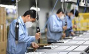 Doanh nghiệp dừng hoạt động do thiếu nguyên liệu, lao động có được hỗ trợ?
