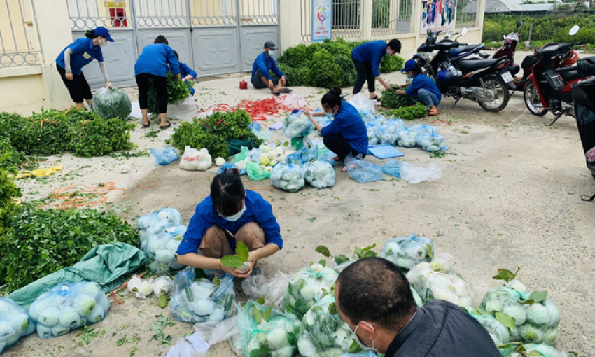 Hà Nội: Nữ sinh ngày trực chốt, đêm soi đèn thu hoạch rau