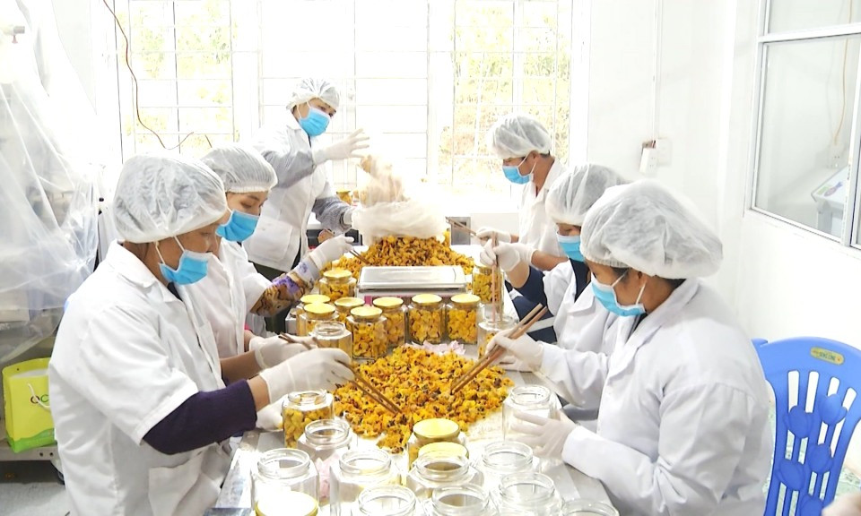 Ba Chẽ: Tăng sức cạnh tranh cho sản phẩm địa phương