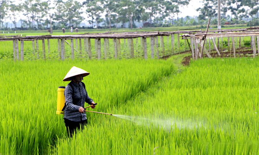 Tập trung bình ổn giá vật tư nông nghiệp