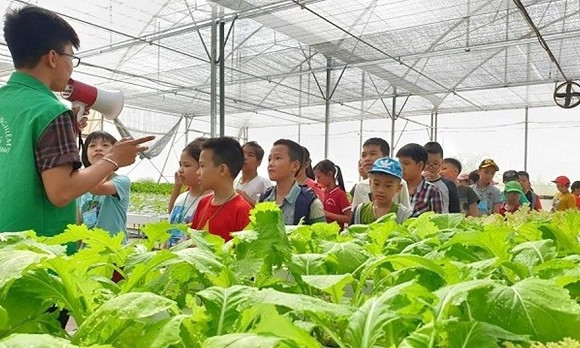 Agritourism expected to bring double benefits to Hanoi