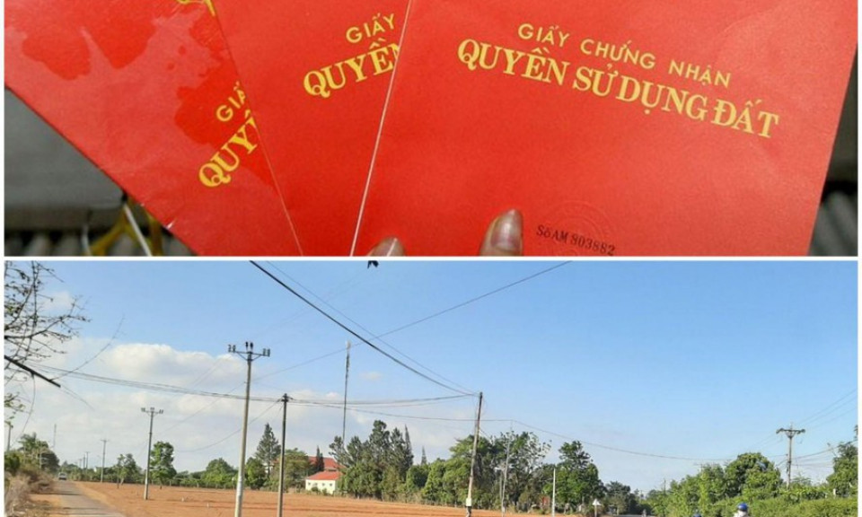 Cấp hàng loạt sổ đỏ trái luật, Phó giám đốc Sở TN&MT Gia Lai bị khiển trách