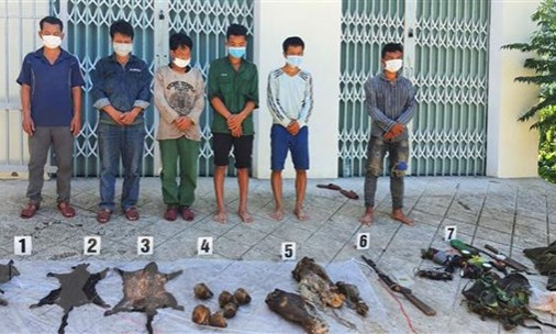 Thừa Thiên-Huế: Bắt giữ 6 đối tượng săn bắn thú trái phép