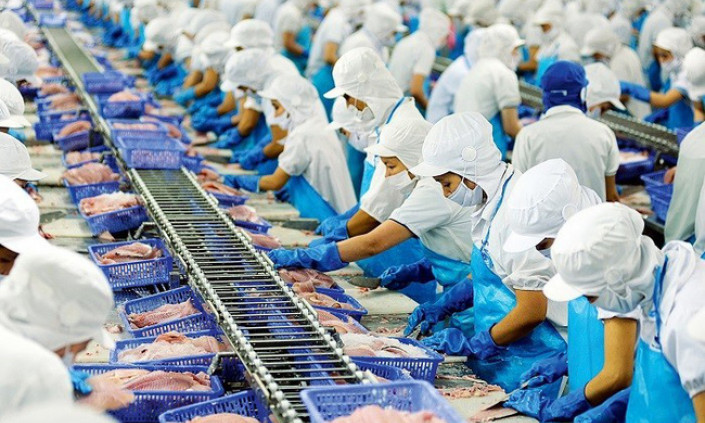 Thành lập nhóm tư vấn trong nước theo quy định trong EVFTA