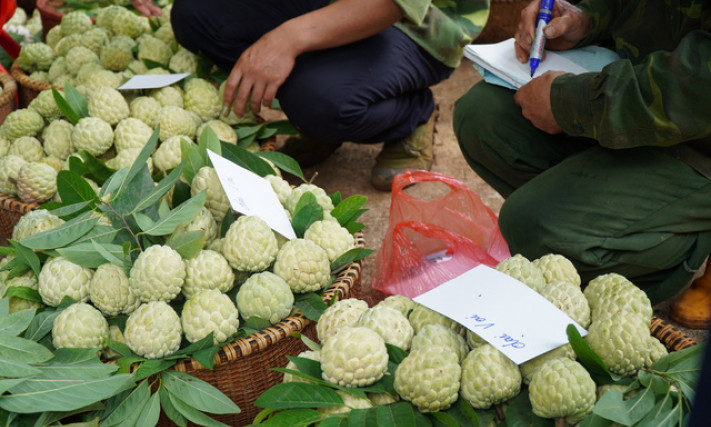 Thương mại điện tử - Cơ hội cho nông nghiệp các địa phương