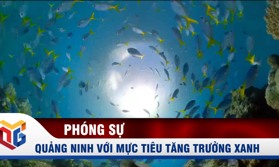 Quảng Ninh với mục tiêu tăng trưởng xanh