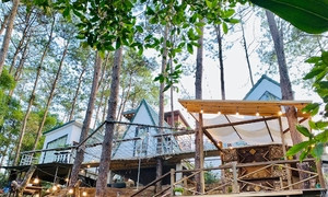 Bán nhà Hà Nội, vợ chồng trẻ lên Tây Nguyên làm homestay