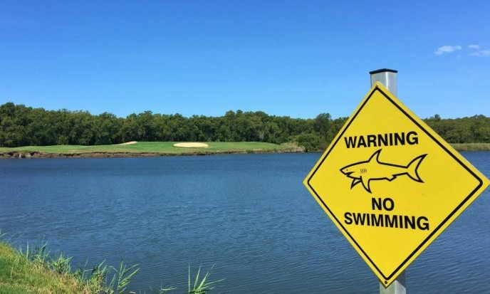 Kinh hãi sân golf nằm sát đầm cá mập hung hãn tại Australia