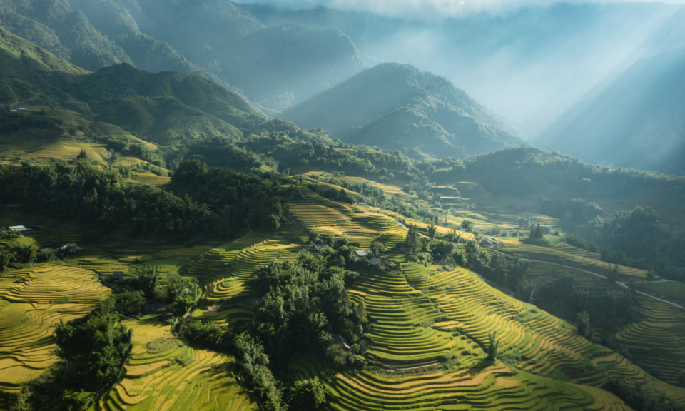 Mùa vàng tĩnh lặng ở Sa Pa