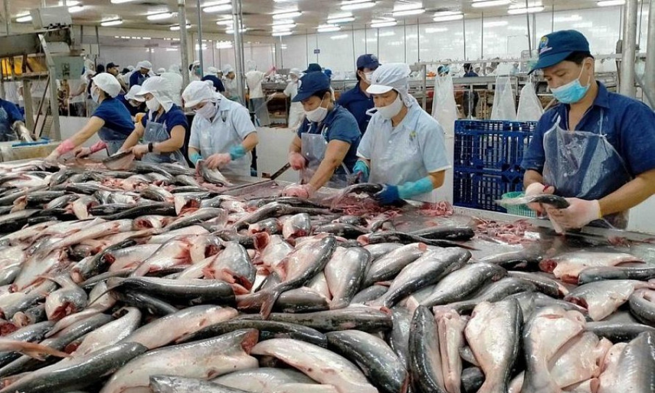 Bất chấp dịch bệnh, xuất khẩu thủy sản vẫn đạt 5 tỷ USD