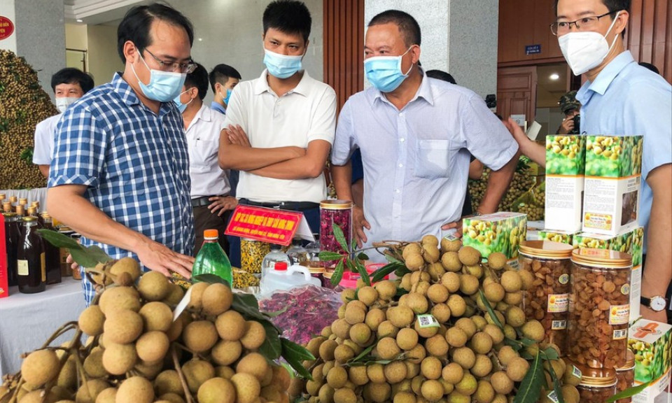 Nông sản hết thời 'ăn xổi'