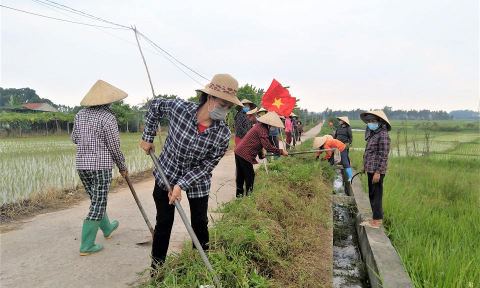"Tam nông" ở TX Quảng Yên
