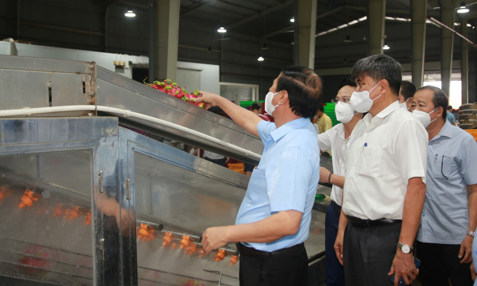 Phó Thủ tướng Lê Văn Thành: Bảo đảm an sinh cũng chính là chống dịch