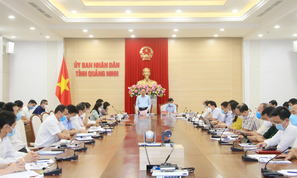 Nghe báo cáo công tác lập quy hoạch tỉnh Quảng Ninh