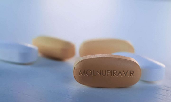 Bắt đầu dùng thuốc Molnupiravir đối với F0 điều trị tại nhà