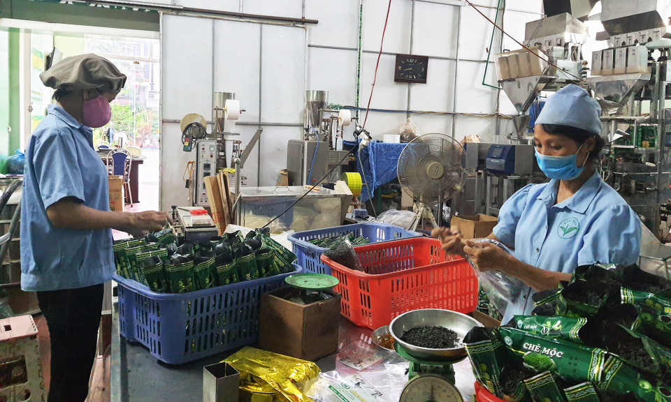 Chuỗi liên kết trong sản xuất nông nghiệp: Vì sao dễ bị đứt gãy