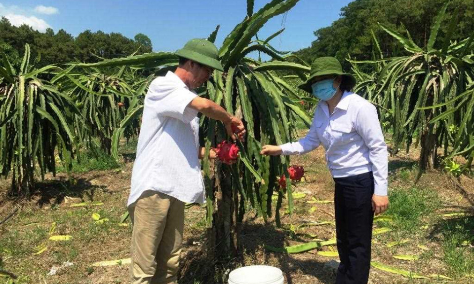 Kiểm soát chặt chất lượng nông, lâm, thủy sản  