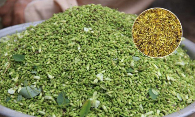Người bệnh tăng huyết áp chớ bỏ qua loại hoa này