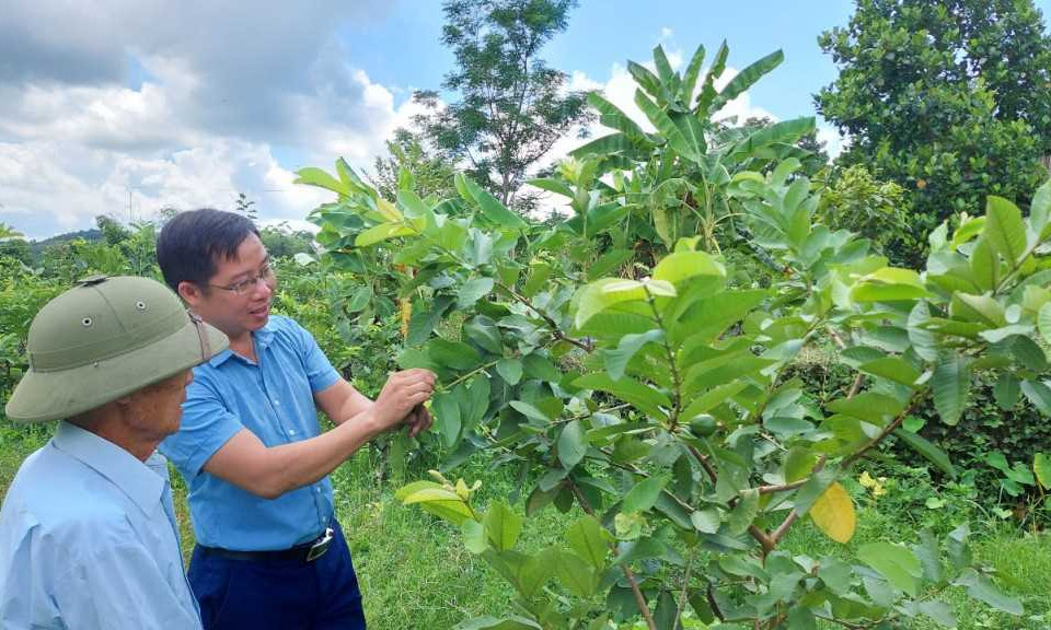 Những cú huých thu hẹp khoảng cách vùng miền