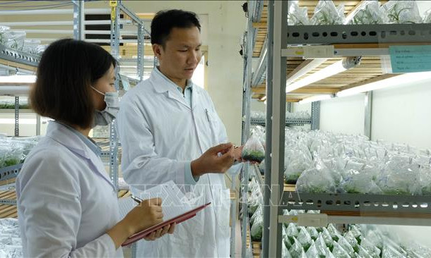 Thúc đẩy ứng dụng năng lượng nguyên tử đến gần hơn với cuộc sống