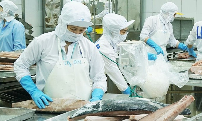 Business environment reform as necessary as vaccine for economic recovery