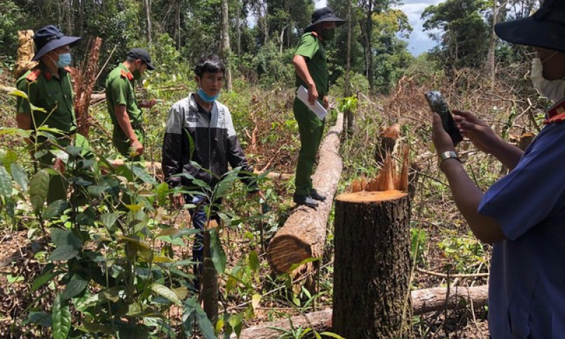 Khởi tố 7 đối tượng hủy hoại rừng ở Đắk Nông