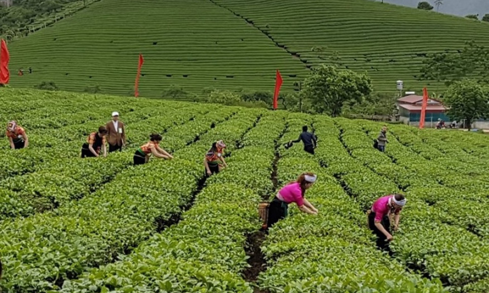 Vượt lên đại dịch, nền kinh tế tiếp tục ghi nhận kết quả tích cực