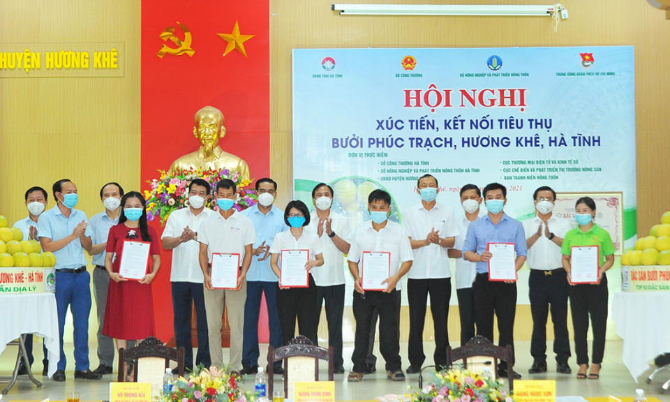 Hội nghị xúc tiến tiêu thụ bưởi Phúc Trạch, Hà Tĩnh