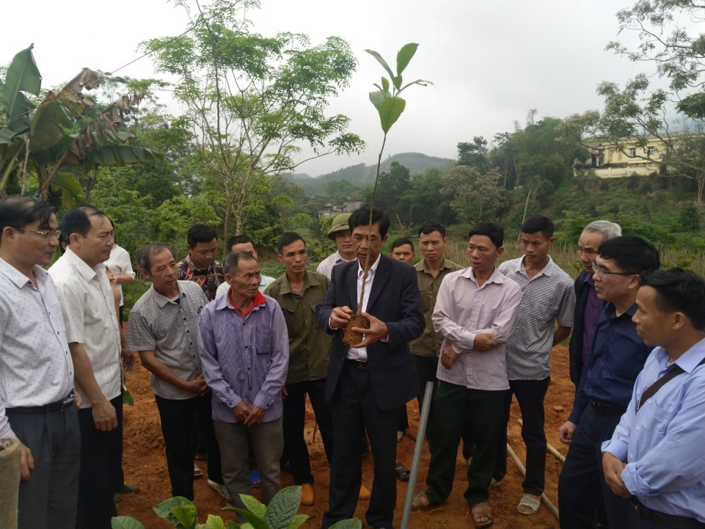 Hội Nông dân tỉnh tổ chức tập huấn cho bà con nhân dân xã Đồn Đạc thực hiện mô hình trồng cây dổi xanh. Tháng 3/2021. Ảnh: Nguyên Ngọc 