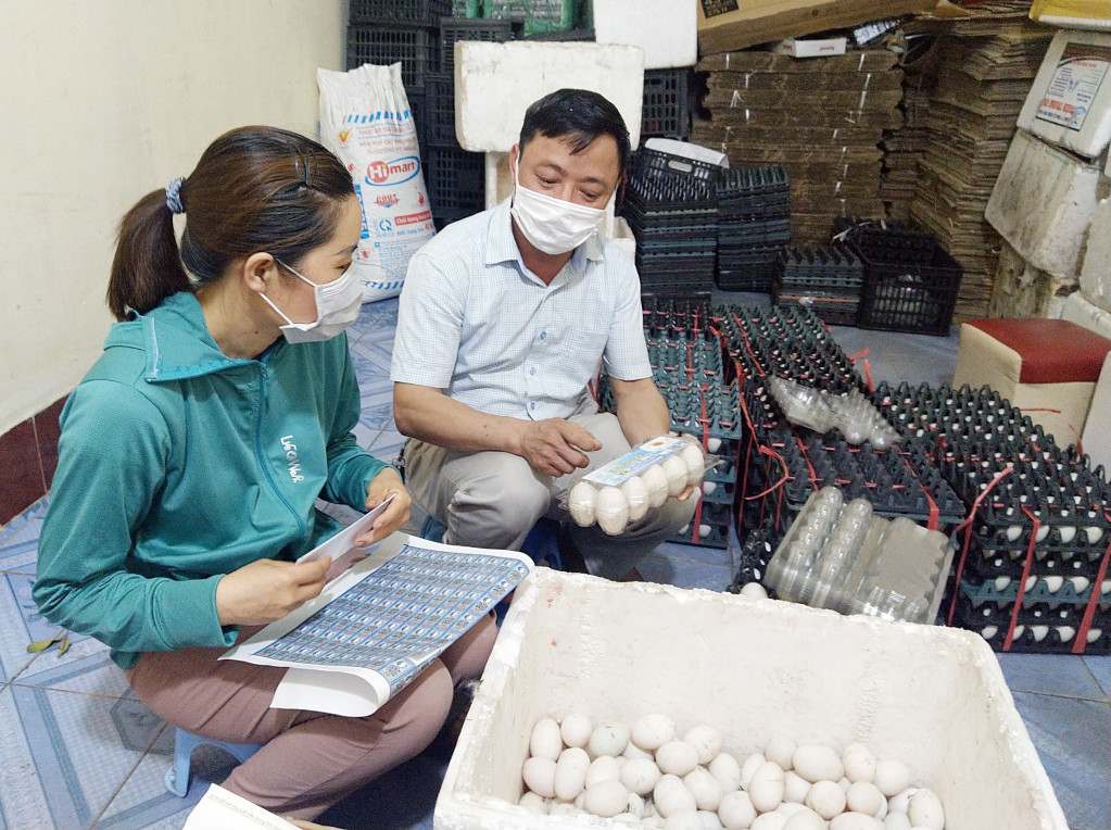 Lãnh đạo HND huyện tư vấn xây dựng nhãn hiệu tập thể trứng vịt biển đồng rui cho HTX chăn nuôi và dịch vụ Đồng Tiến