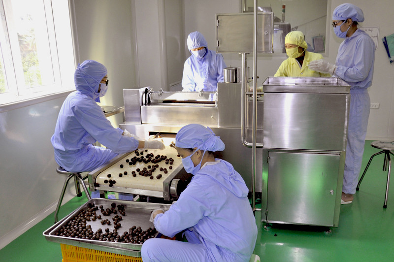 Sản xuất thuốc đông dược tại Nhà máy sản xuất thuốc của Công ty CP Dược - Vật tư y tế Quảng Ninh.