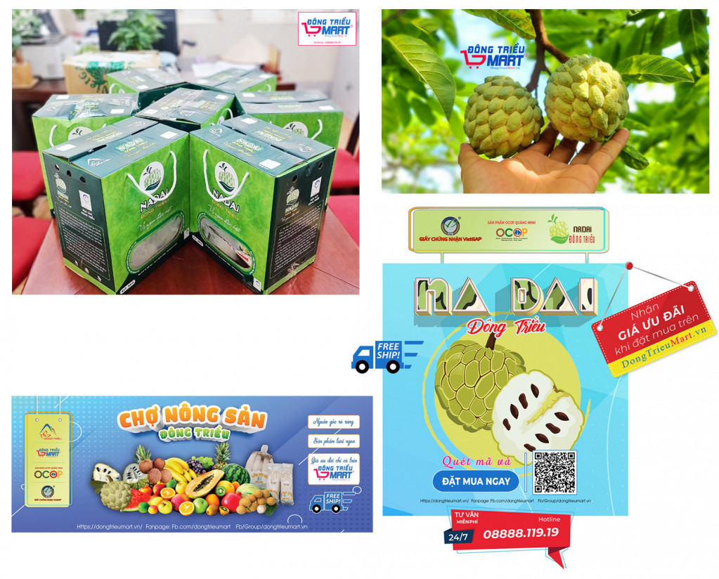 Sản phẩm na dai Đông Triều được đăng tải, bày bán trên website dongtrieumart.vn
