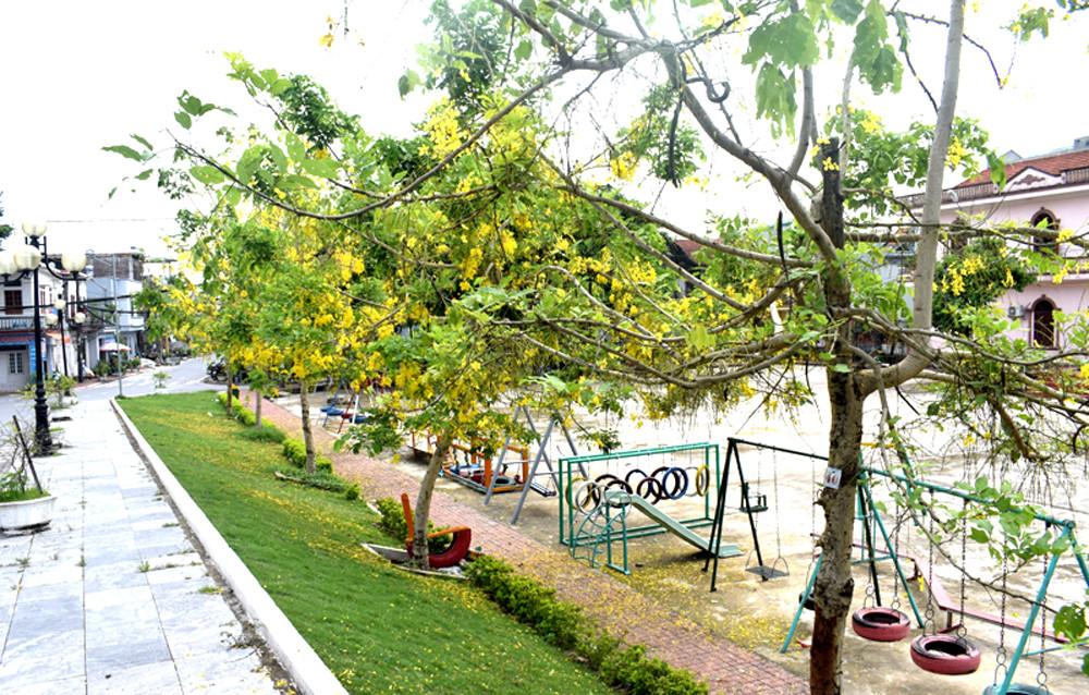 Con đường cây xanh khu phố Trần Khánh Dư, thị trấn Quảng Hà