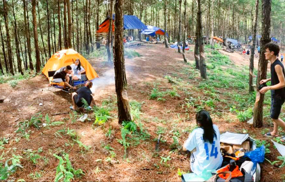 It's great to go camping under the canopy of forest trees (Photo taken before February 30, 2021).